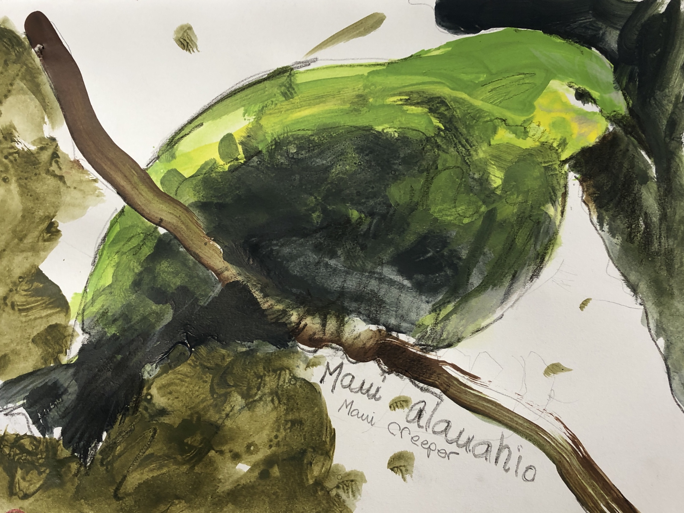 AFDF1C33-02FF-4C74-89E1-71C47B6A22F7