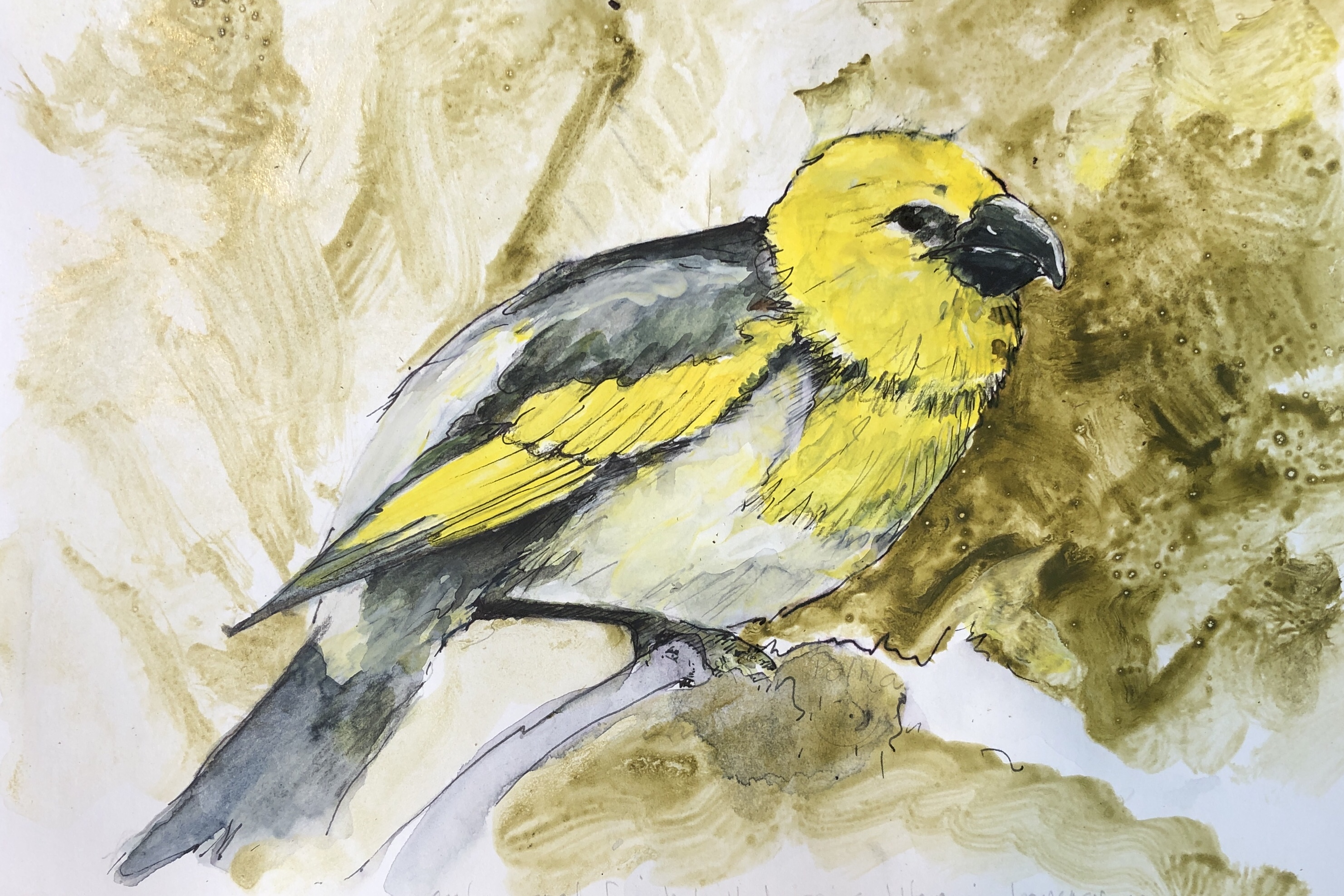 5D401C80-085C-4358-8275-FBF7F3F4DE52