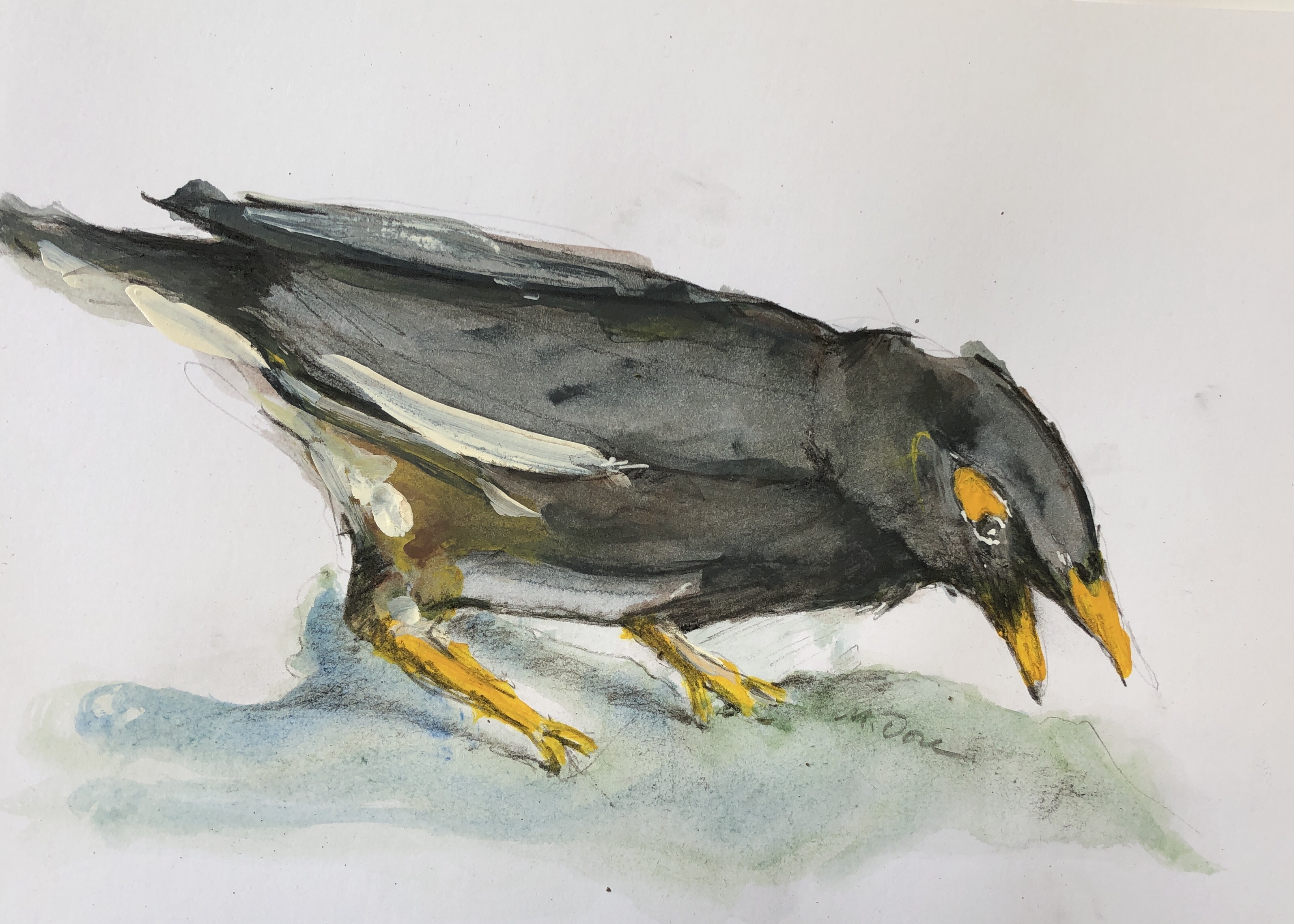 B674D8DC-EB2A-43B8-9138-78661A5D7DBE